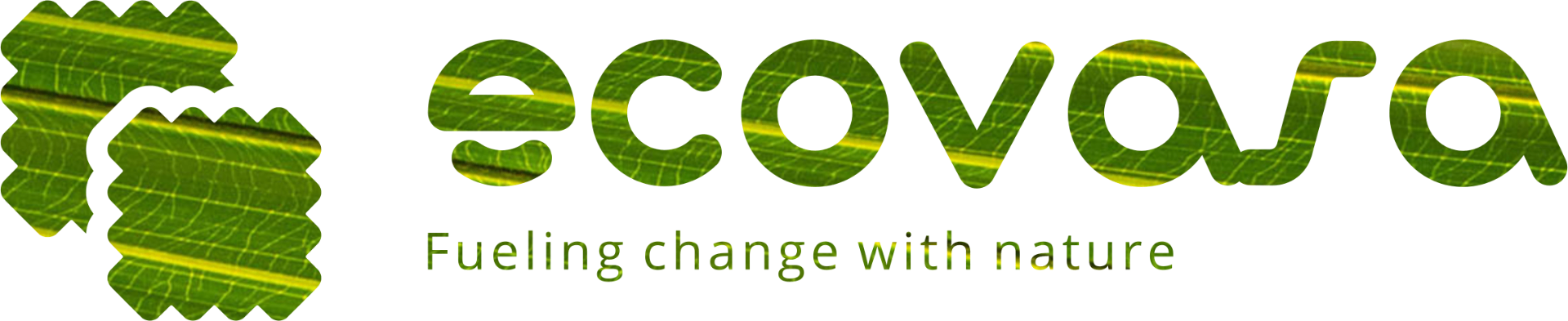 Ecovasa — Fueling change with nature
